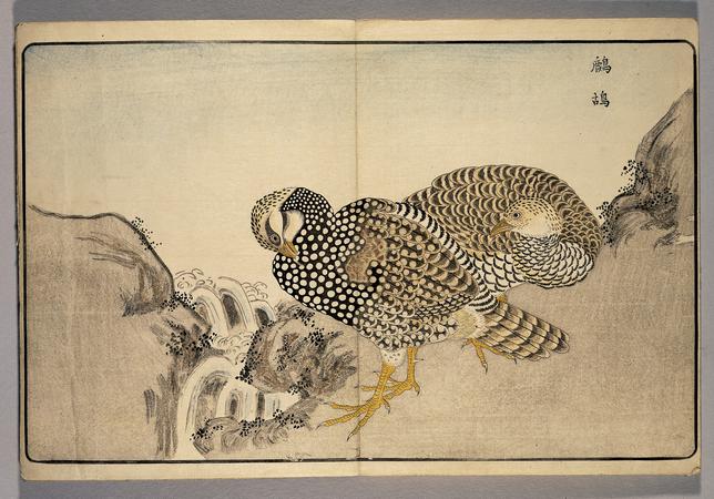 illustrated book; print | British Museum illustrated book; print | British Museum