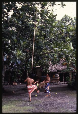 超格安価格 35mm slide Museum British | (colour) (photographic) ドキュメンタリー