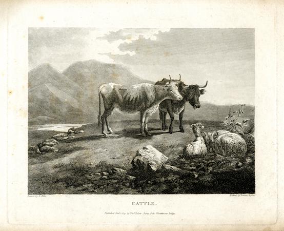 print | British Museum