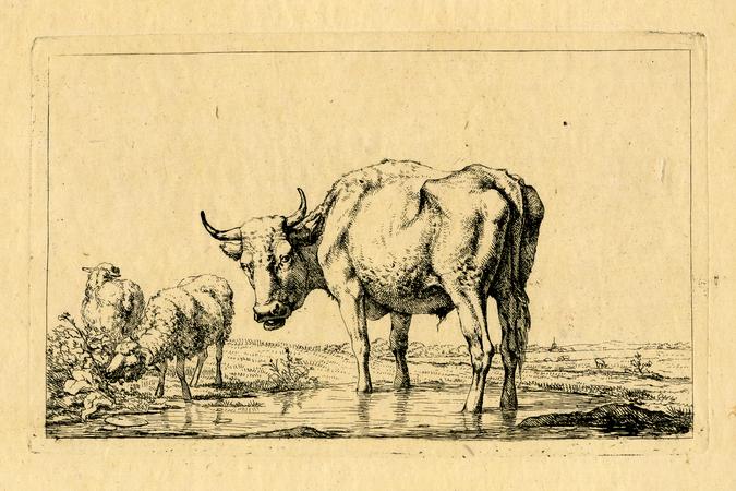 print | British Museum