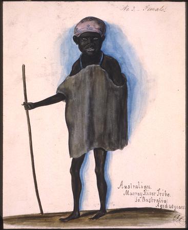 Thumbnail image for No. 3. Female / Australian. Murray River Tribe. South Australia. Aged 40 years | BM Oc2006,Drg.51