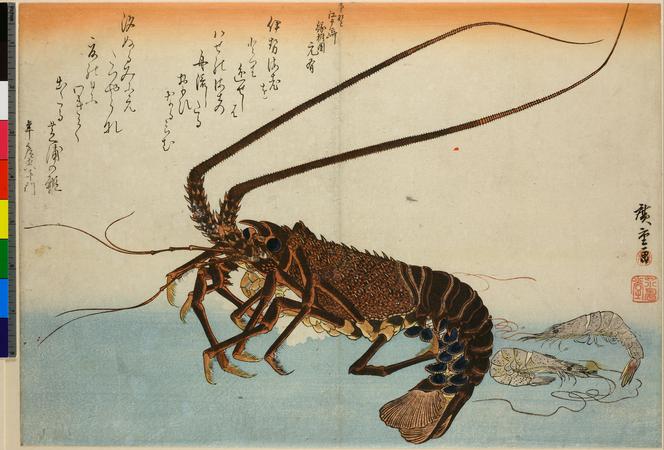 2025年最新】Yahoo!オークション -#海老(日本画)の中古品・新品