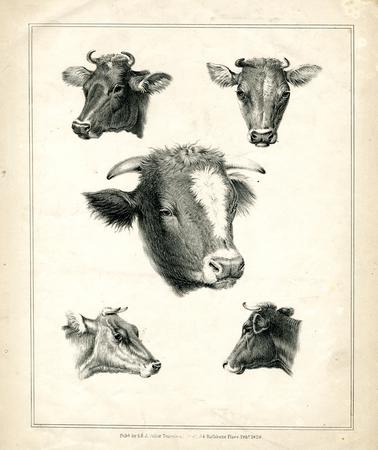 print | British Museum