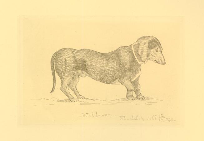did queen victoria have dachshunds