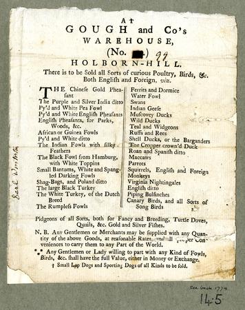 Handbill advertising Gough and Co’s bird and animal warehouse at Holborn Hill, London by Print made by: Anonymous