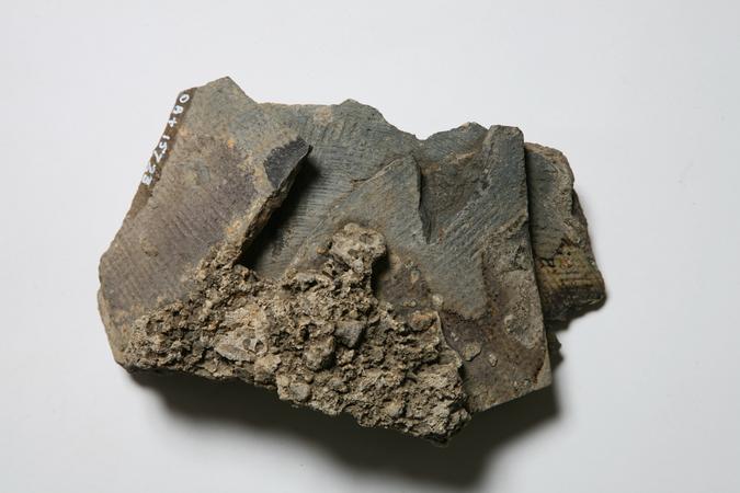 vessel; sherd
