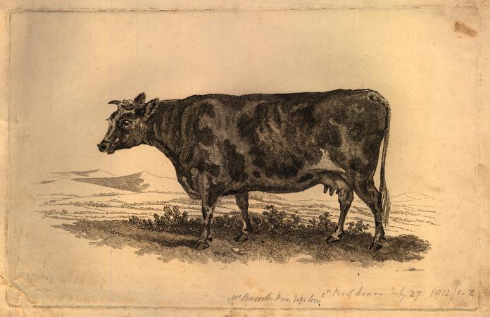 print | British Museum